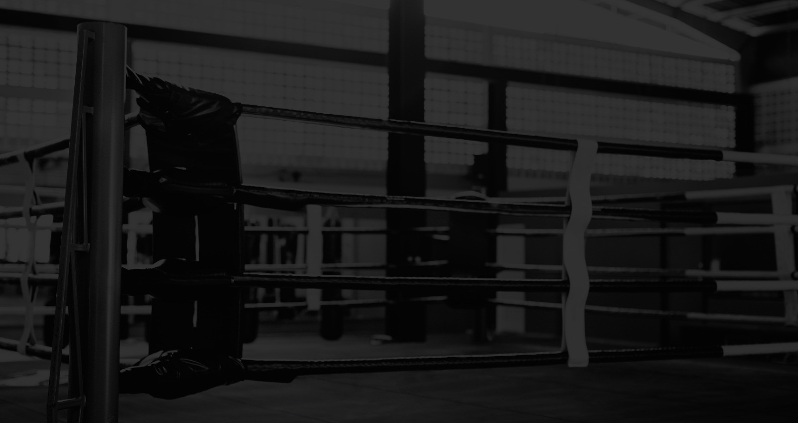 Boxing Gym Dublin